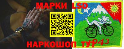 mdpv Ярославль