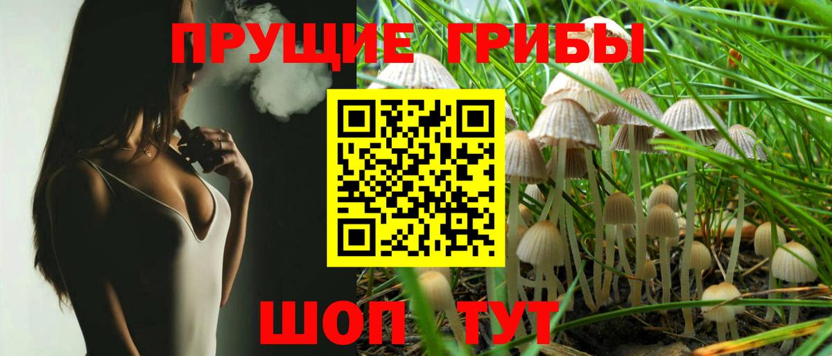 Азнакаево  Галлюциногенные грибы GOLDEN TEACHER  Вход с VPN 