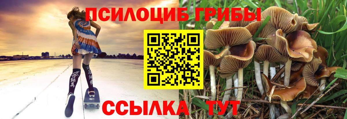 Псилоцибиновые грибы GOLDEN TEACHER Азнакаево